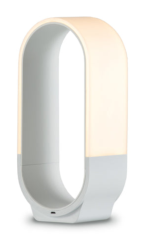 Mr. Go Lantern Light