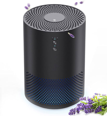 Air Purifiers for Home with Fragrance Sponge UV Light Pollen Pet Hair Dander Smoke Dust Airborne Contaminants Odors Home Air Cleaner with Filter Night Light