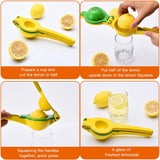 Premium Quality Metal Lemon Squeezer, Lime Juice Press, Manual Press Citrus Juicer For Squeeze The Freshest Juice